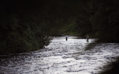 Gone Fishin’ in the Great North Wood Region